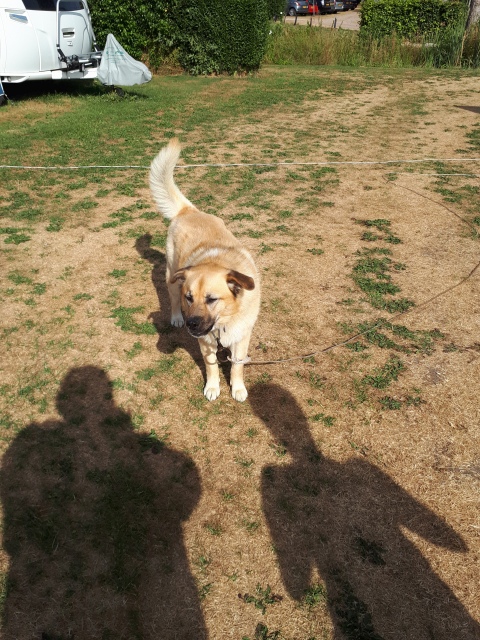 ../fotos/het_verlaat_2018/2018-08-01 10.04.29.jpg